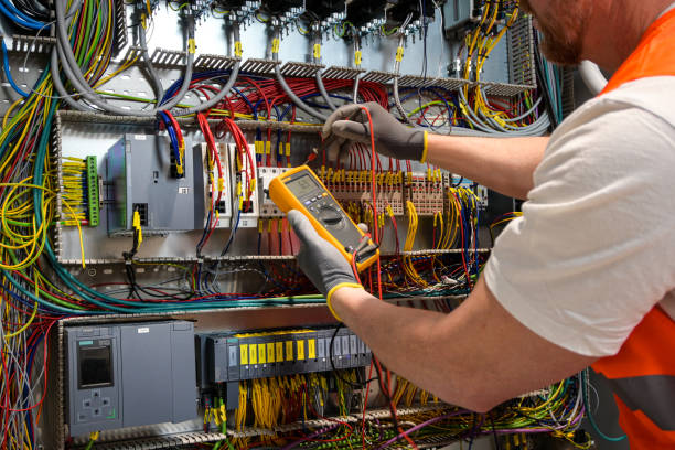 Best Electric Panel Repair  in Fyffe, AL